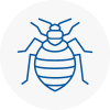Bed Bug Extermination In Ashton In Makerfield