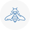 Bee Nest Removal Ashton In Makerfield