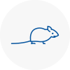 Mice Exterminators In Ashton In Makerfield
