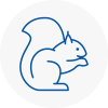 Ashton In Makerfield Rodent Removals