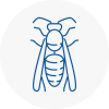 Ashton In Makerfield Wasp Nest Removal